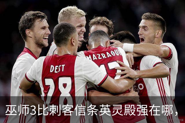 巫师3比刺客信条英灵殿强在哪，为什么两者的口碑差距那么大